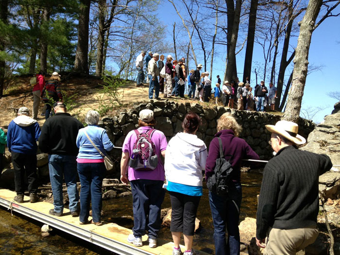 Bigwood Bridge