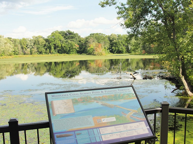 View from the deck