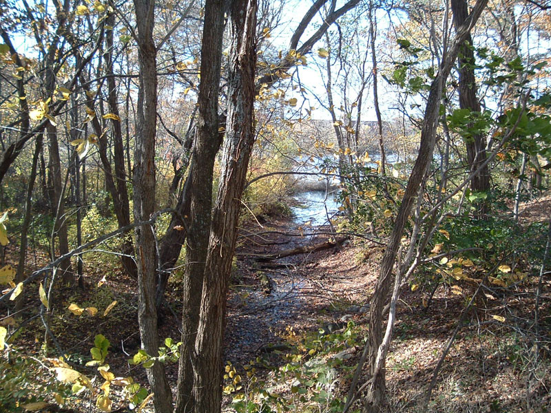 Middlesex Canal from Rogers Street