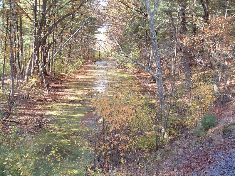 Middlesex Canal in Fall Colors