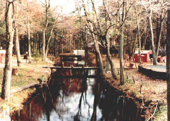 View south from Lake Street ("Gumm Family Compound")