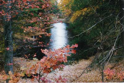 Middlesex canal south of N. Billerica Mill Pond