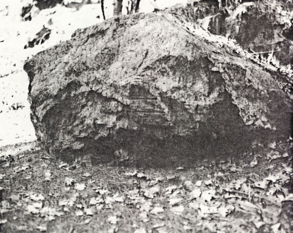 Tow line grooves in rock - Wilmington Town Forest