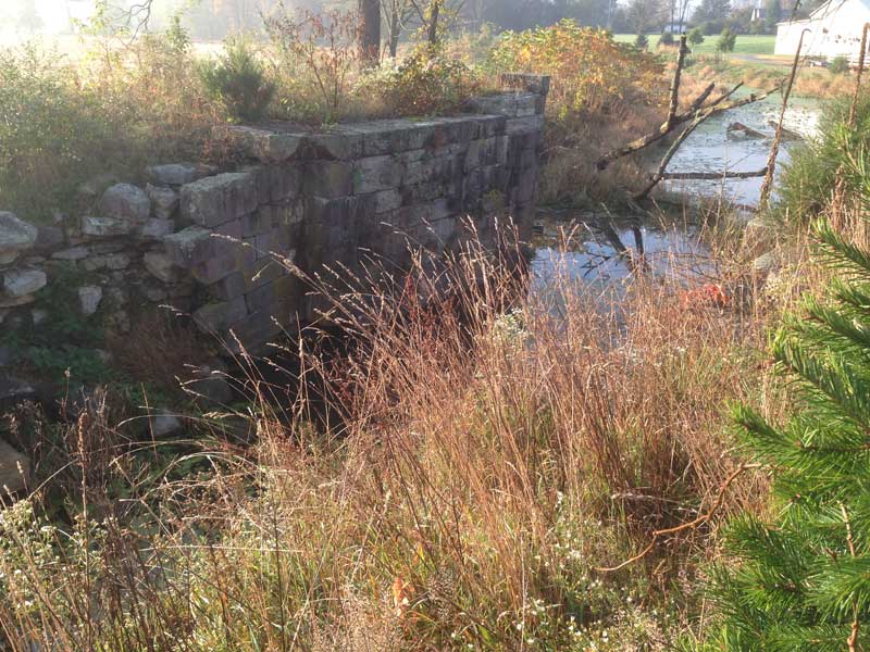 Figure 1. Remains of Union Canal Lock 21W
