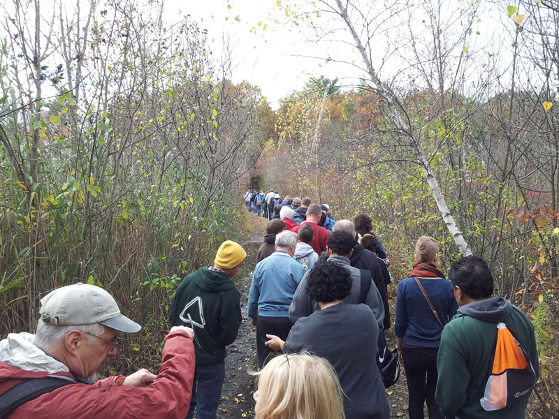 2014 Fall Walk in Billerica