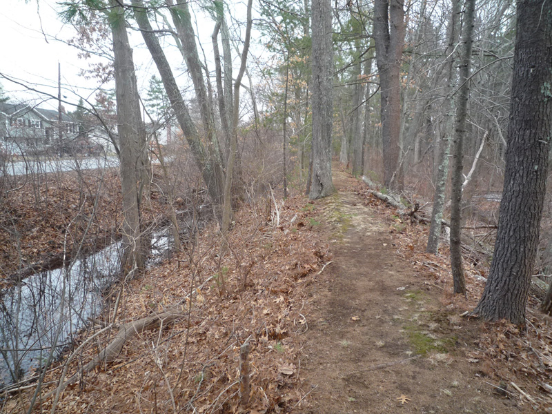 Towpath cleared