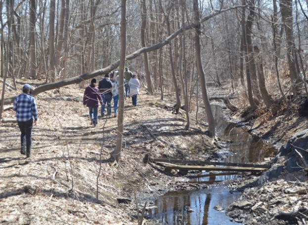 Spring Walk
