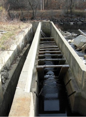 Photo D, Wamesit Falls/ Centennial Dam fishway and downstream passage