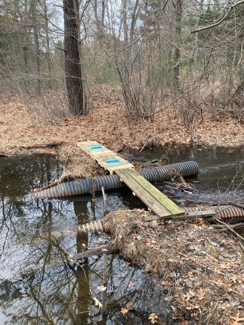 Makeshift Bridge