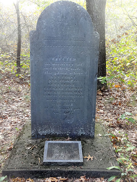 Smallpox marker