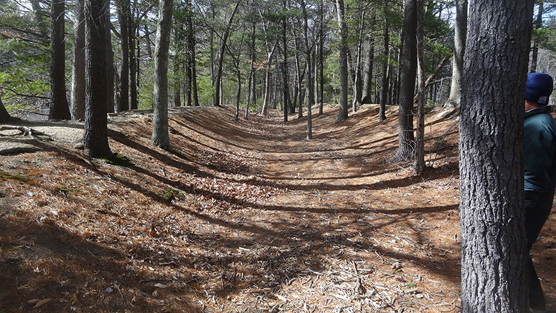 raised canal section that was donated to the Association by Stanley Webber and his daughter, Julia Fielding in 1983