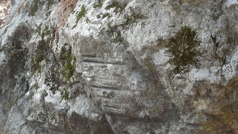 Grooved Boulders in the Wilmington Town Forest