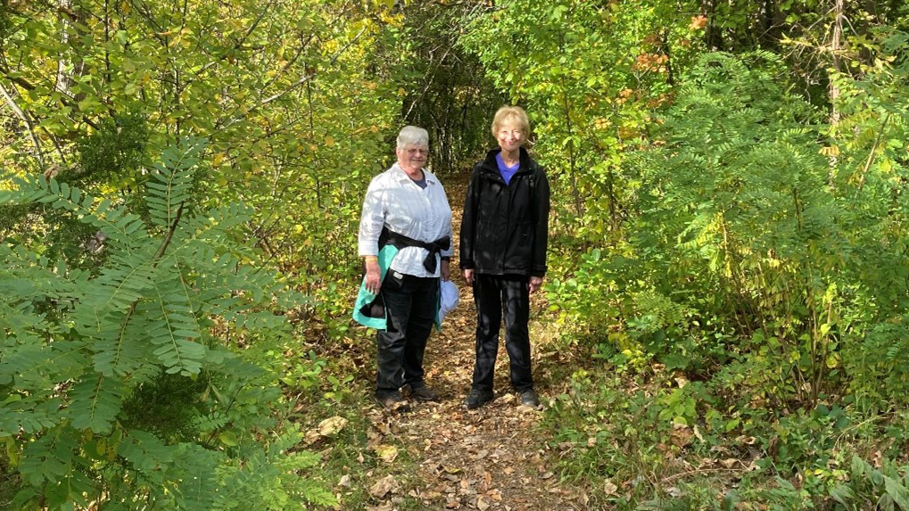 Joan Denton (left) and Jan Ellis bring up the rear returning to the Baldwin Mansion from School Street. 