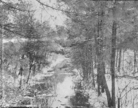 Canal in Winter